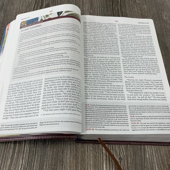 NIV, The Woman's Study - Imitation Leather, by Thomas Nelson; Patterson - Good - Picture 10 of 11